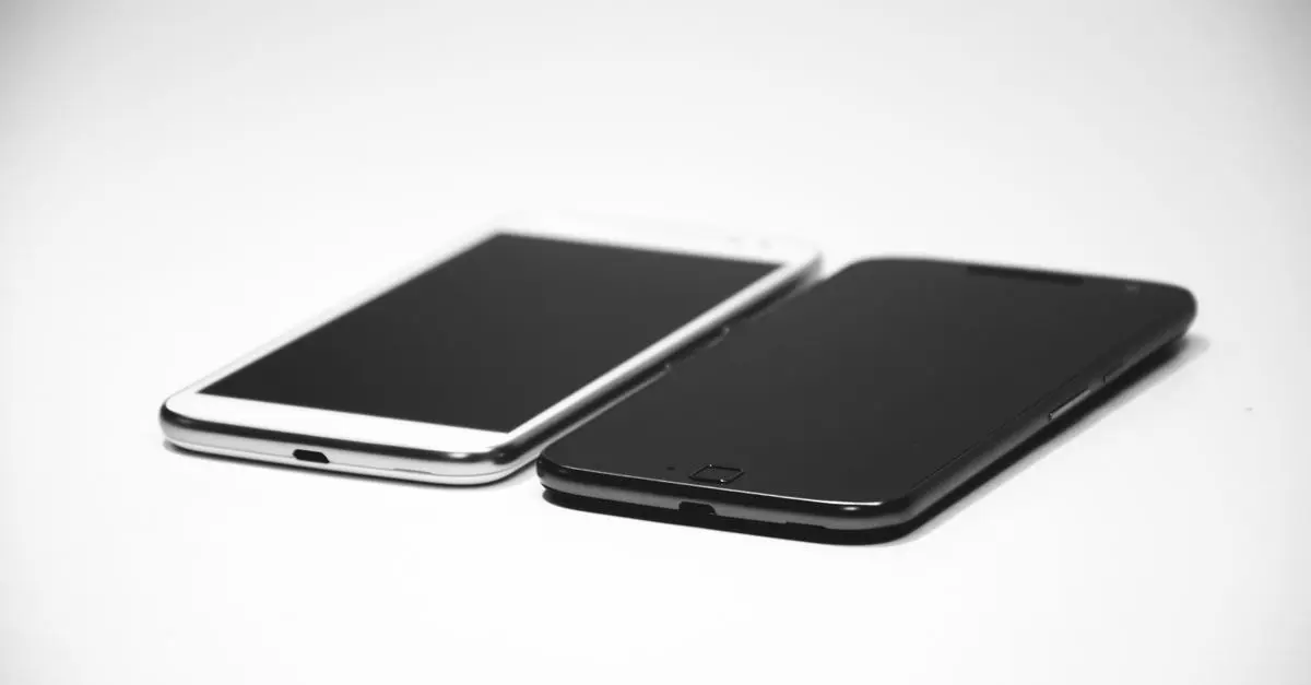 Comment fonctionnent les numéros de portabilité mobile